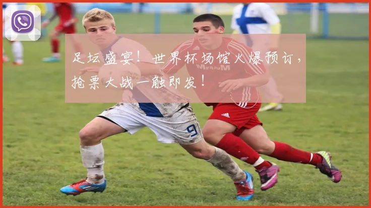 足坛盛宴！世界杯场馆火爆预订，抢票大战一触即发！