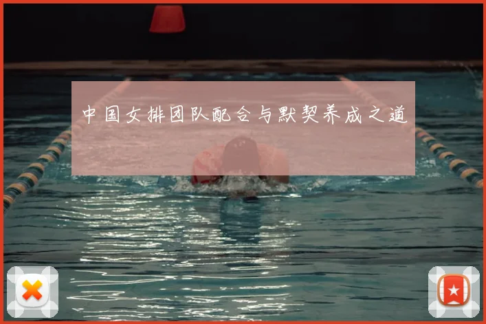 中国女排团队配合与默契养成之道