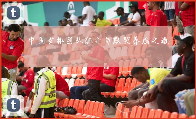 中国女排团队配合与默契养成之道
