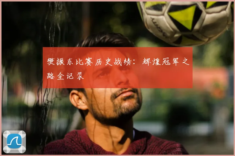 樊振东比赛历史战绩：辉煌冠军之路全记录