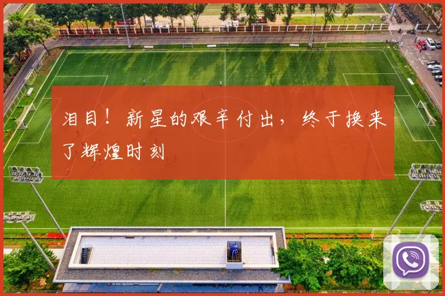 泪目！新星的艰辛付出，终于换来了辉煌时刻
