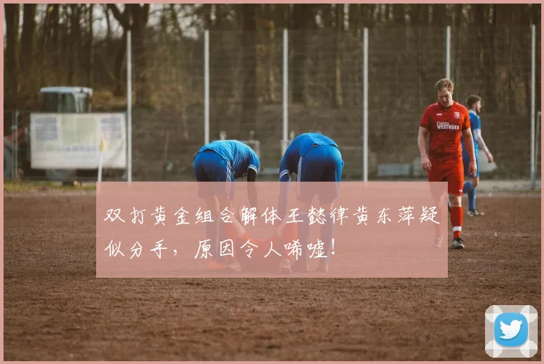 双打黄金组合解体王懿律黄东萍疑似分手，原因令人唏嘘！